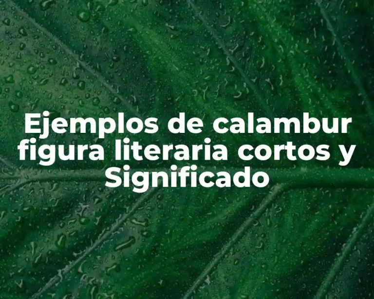 Ejemplos de calambur figura literaria cortos y Significado