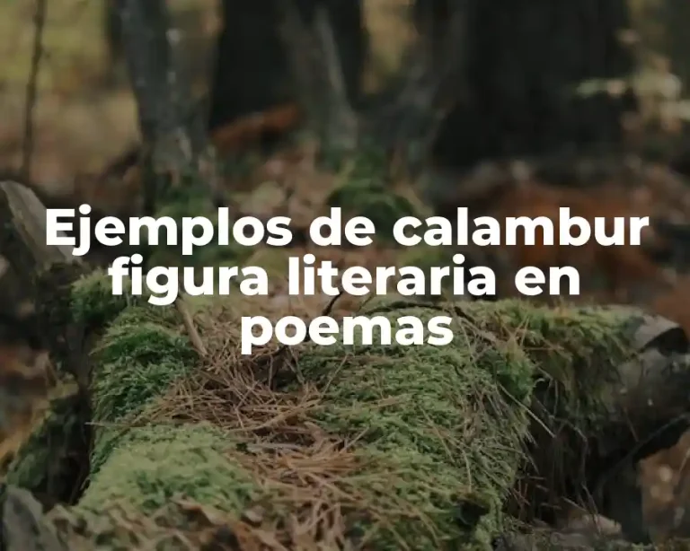 Ejemplos de calambur figura literaria en poemas