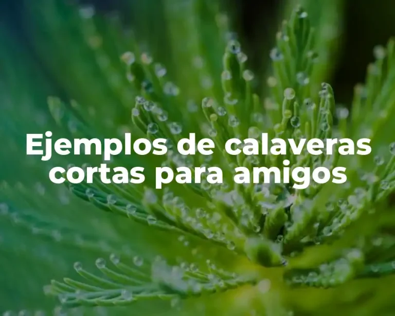 Ejemplos de calaveras cortas para amigos