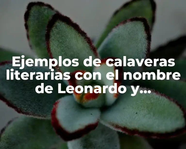 Ejemplos de calaveras literarias con el nombre de Leonardo y Significado