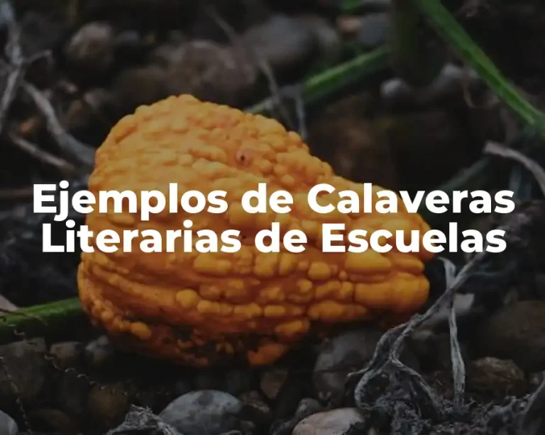 Ejemplos de Calaveras Literarias de Escuelas