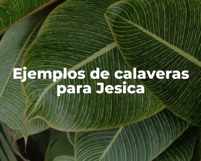 Ejemplos de calaveras para Jesica