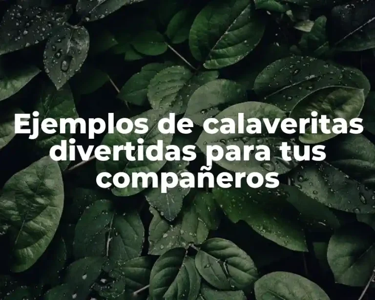 Ejemplos de calaveritas divertidas para tus compañeros