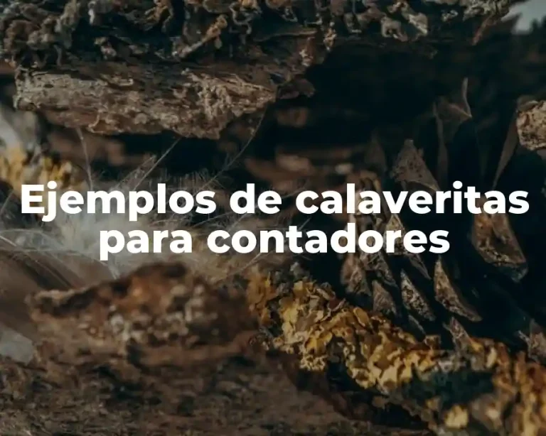 Ejemplos de calaveritas para contadores