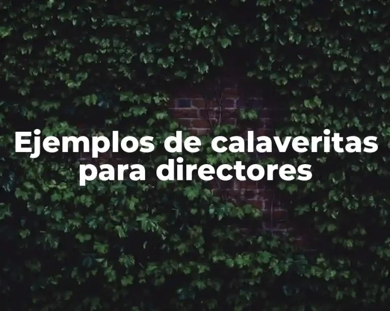 Ejemplos de calaveritas para directores