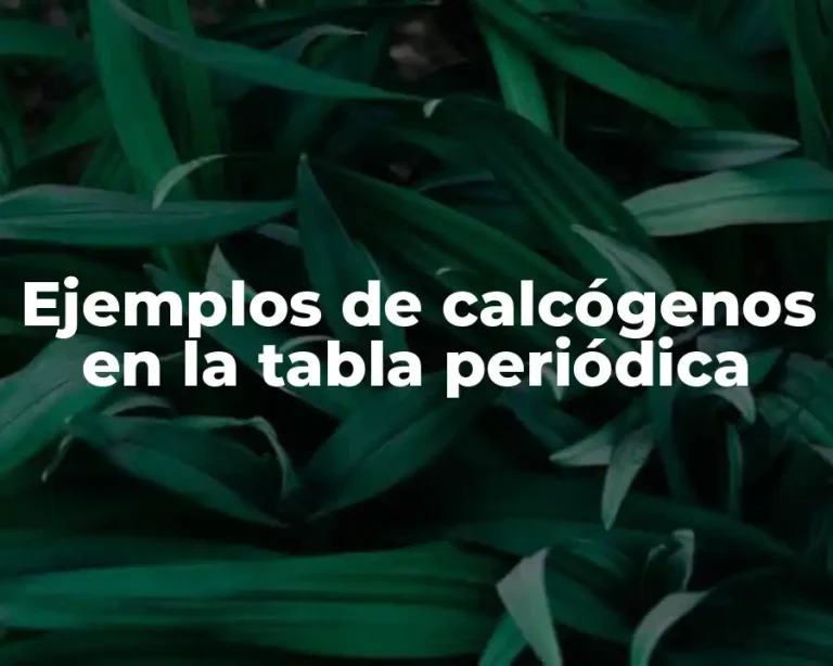 Ejemplos de calcógenos en la tabla periódica