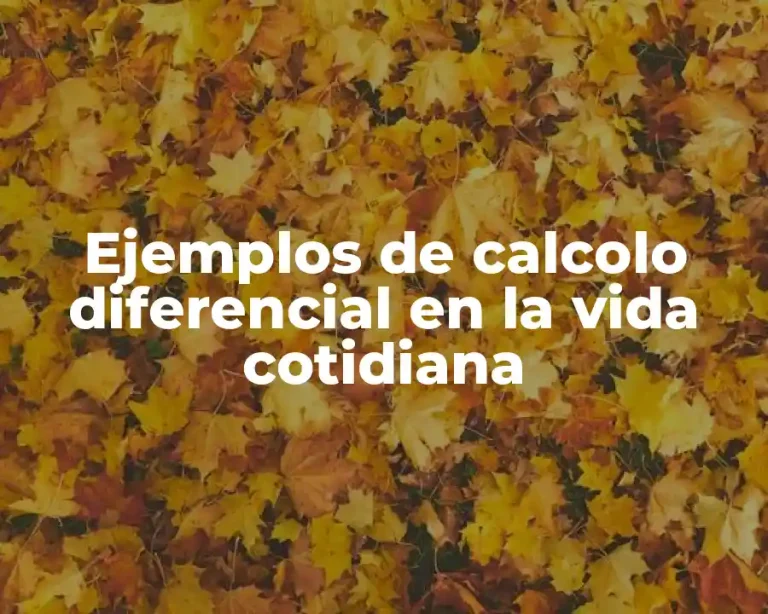 Ejemplos de calcolo diferencial en la vida cotidiana