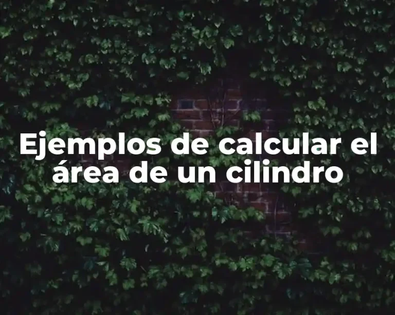 Ejemplos de calcular el área de un cilindro
