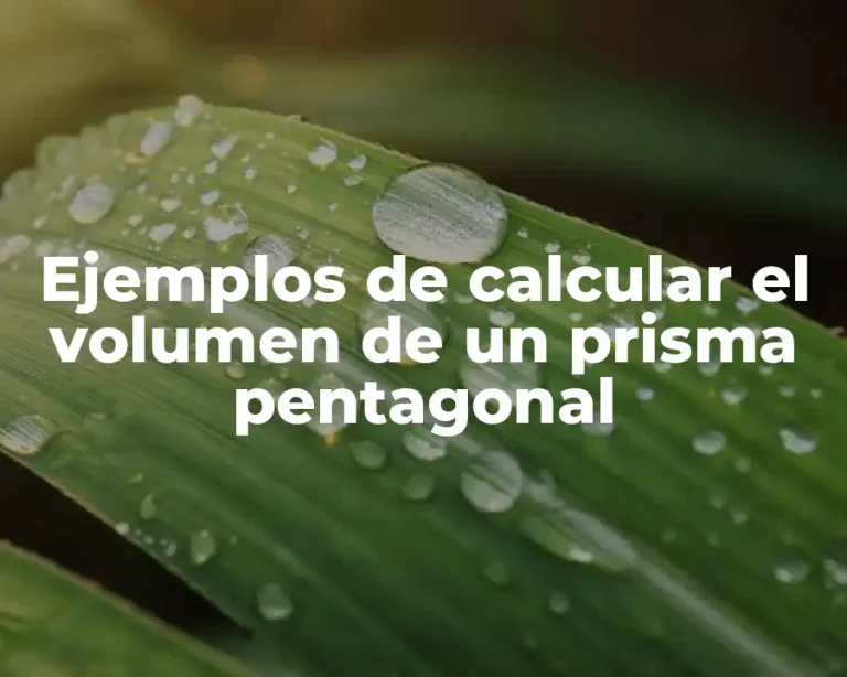 Ejemplos de calcular el volumen de un prisma pentagonal