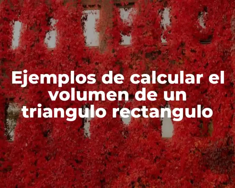 Ejemplos de calcular el volumen de un triangulo rectangulo