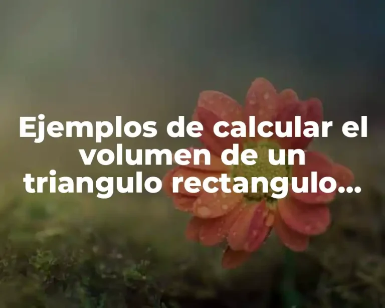 Ejemplos de calcular el volumen de un triangulo rectangulo profejulio