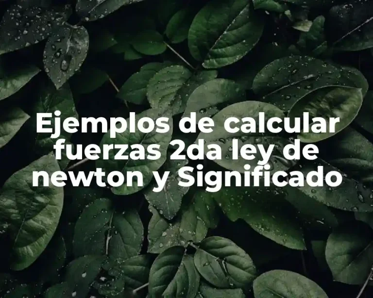 Ejemplos de calcular fuerzas 2da ley de newton y Significado
