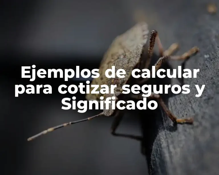 Ejemplos de calcular para cotizar seguros y Significado