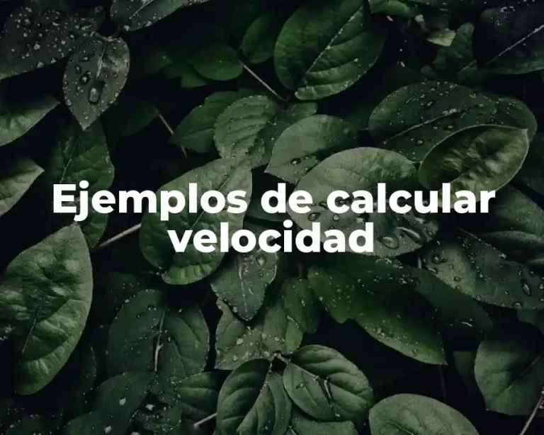 Ejemplos de calcular velocidad