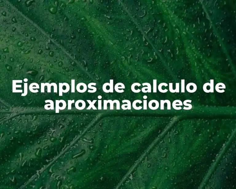 Ejemplos de calculo de aproximaciones