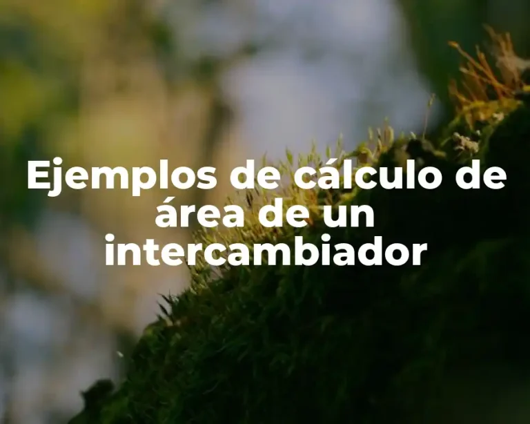 Ejemplos de cálculo de área de un intercambiador