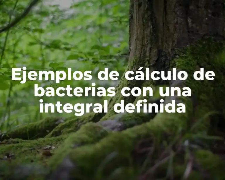 Ejemplos de cálculo de bacterias con una integral definida