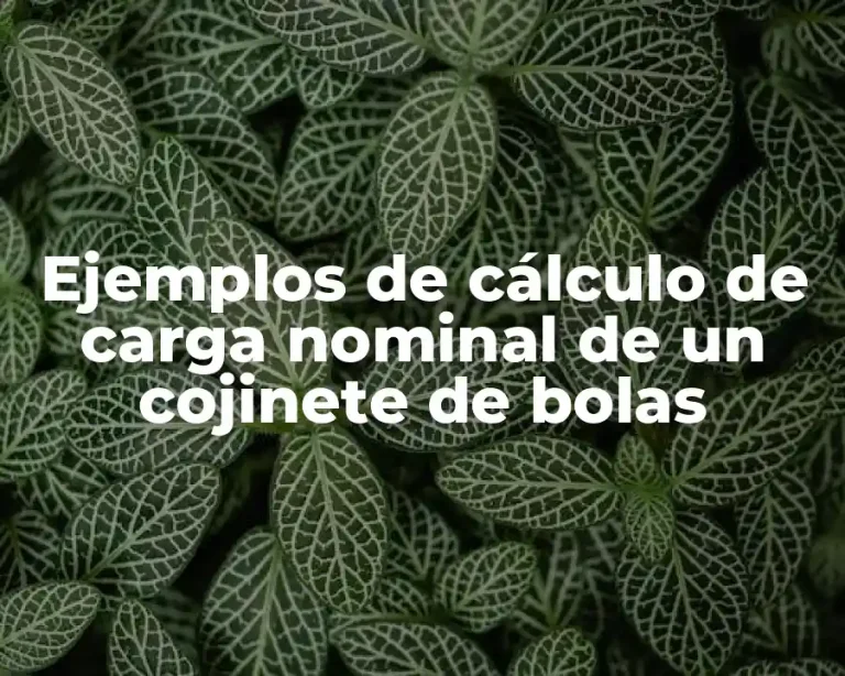 Ejemplos de cálculo de carga nominal de un cojinete de bolas