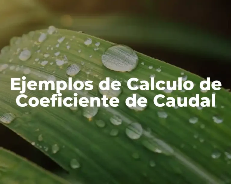 Ejemplos de Calculo de Coeficiente de Caudal