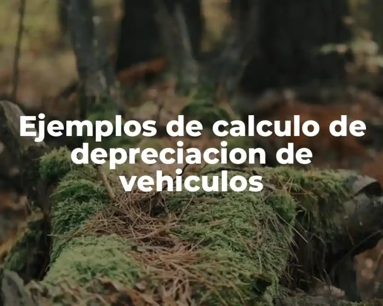 Ejemplos de calculo de depreciacion de vehiculos