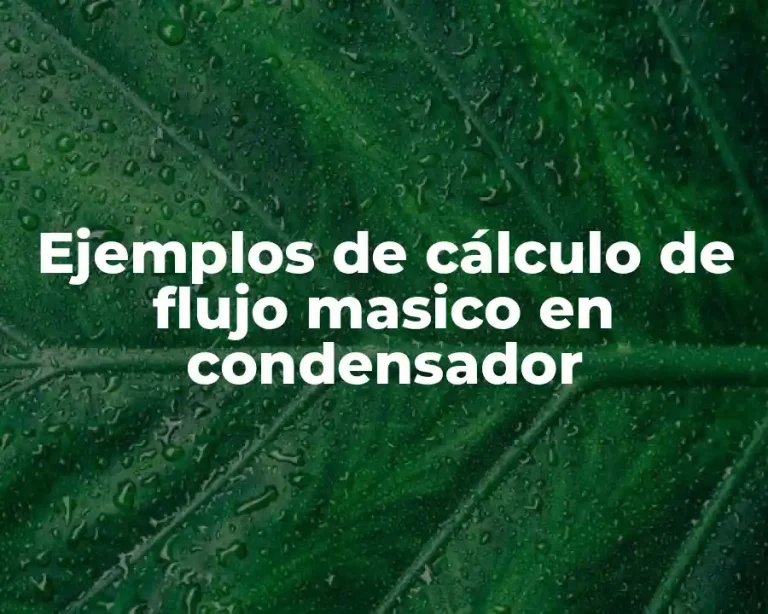 Ejemplos de cálculo de flujo masico en condensador