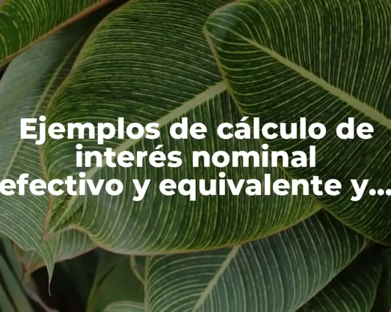 Ejemplos de cálculo de interés nominal efectivo y equivalente y Significado