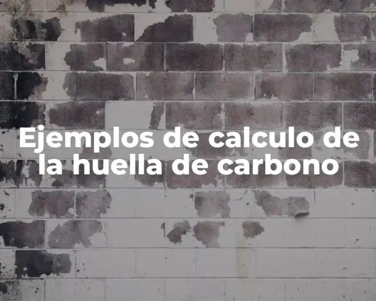 Ejemplos de calculo de la huella de carbono
