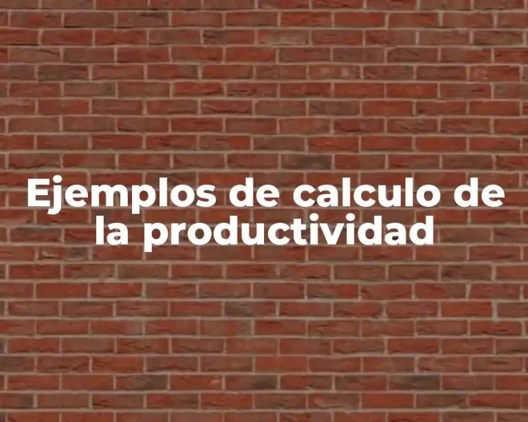 Ejemplos de calculo de la productividad