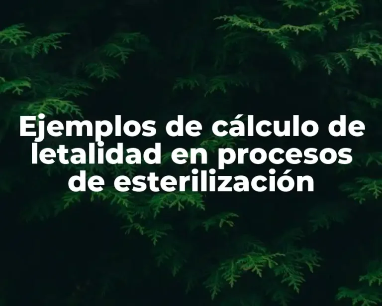 Ejemplos de cálculo de letalidad en procesos de esterilización