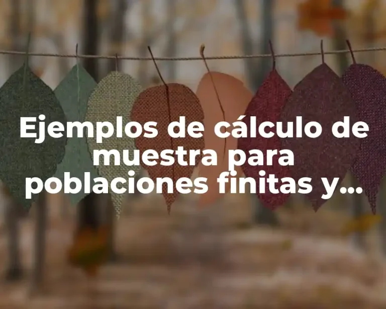Ejemplos de cálculo de muestra para poblaciones finitas y Significado