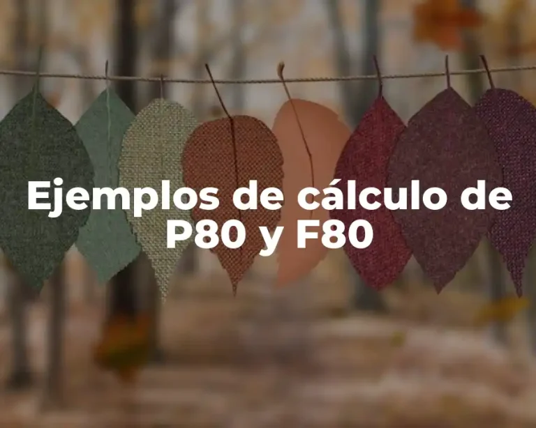 Ejemplos de cálculo de P80 y F80