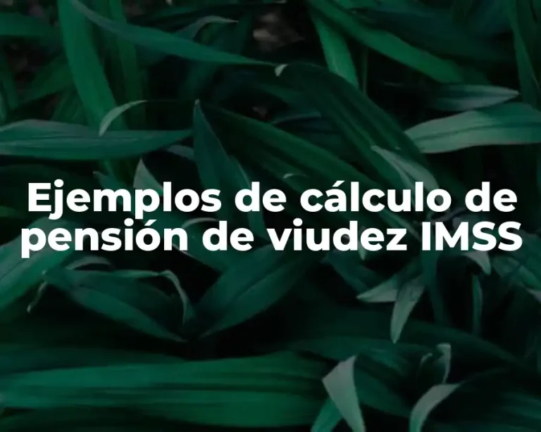 Ejemplos de cálculo de pensión de viudez IMSS