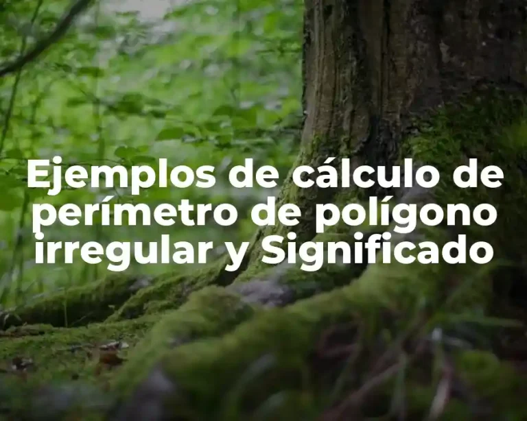 Ejemplos de cálculo de perímetro de polígono irregular y Significado