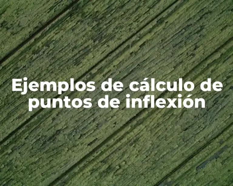 Ejemplos de cálculo de puntos de inflexión