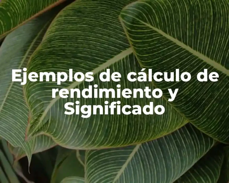 Ejemplos de cálculo de rendimiento y Significado
