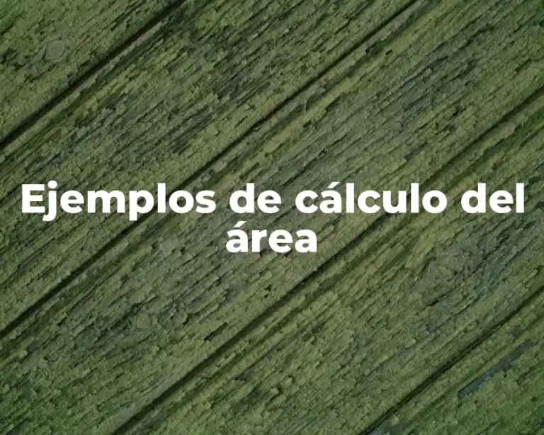 Ejemplos de cálculo del área