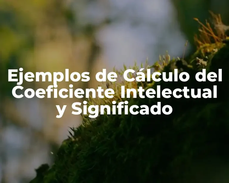 Ejemplos de Cálculo del Coeficiente Intelectual y Significado