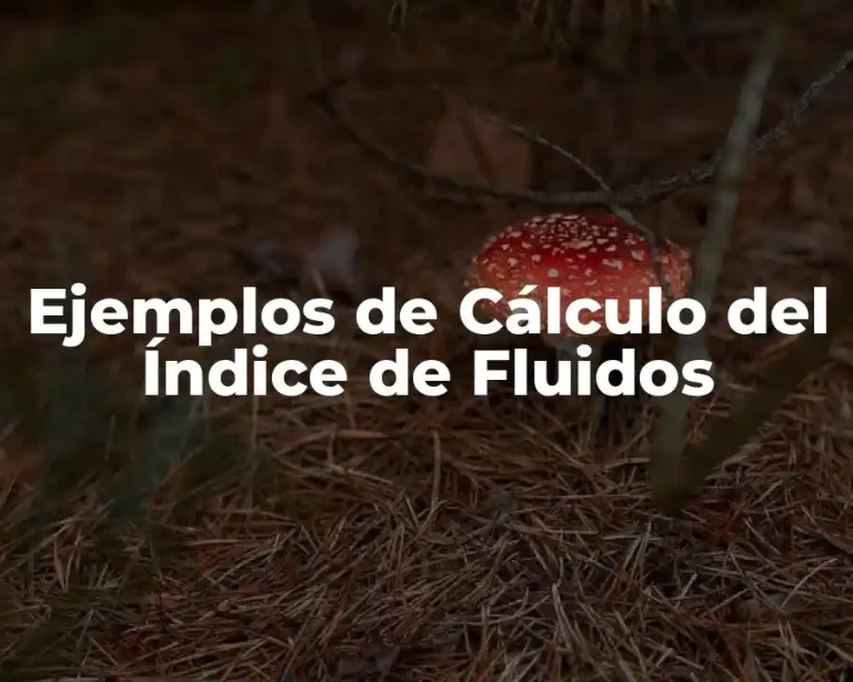 Ejemplos de Cálculo del Índice de Fluidos