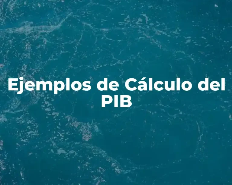 Ejemplos de Cálculo del PIB
