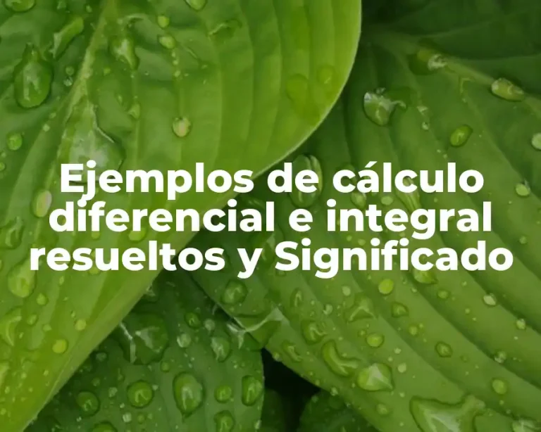Ejemplos de cálculo diferencial e integral resueltos y Significado