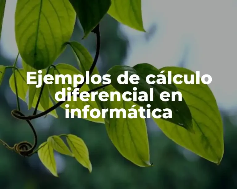 Ejemplos de cálculo diferencial en informática