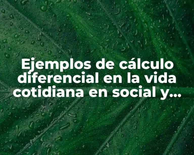 Ejemplos de cálculo diferencial en la vida cotidiana en social y Significado
