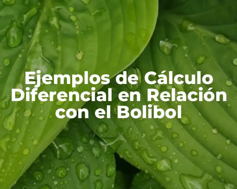Ejemplos de Cálculo Diferencial en Relación con el Bolibol