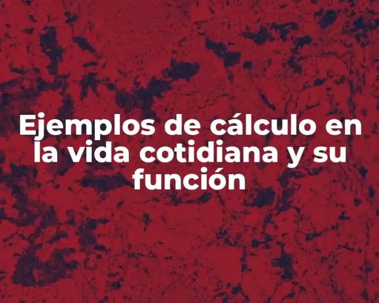 Ejemplos de cálculo en la vida cotidiana y su función