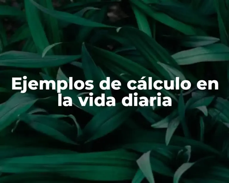 Ejemplos de cálculo en la vida diaria
