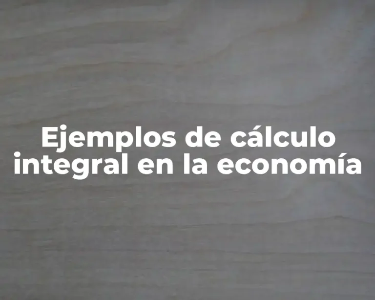 Ejemplos de cálculo integral en la economía