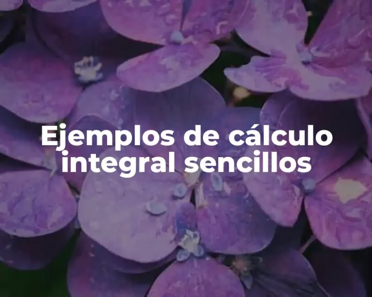 Ejemplos de cálculo integral sencillos