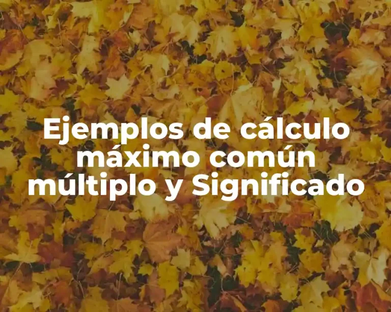 Ejemplos de cálculo máximo común múltiplo y Significado