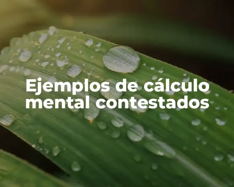 Ejemplos de cálculo mental contestados