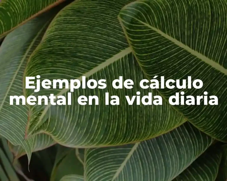 Ejemplos de cálculo mental en la vida diaria